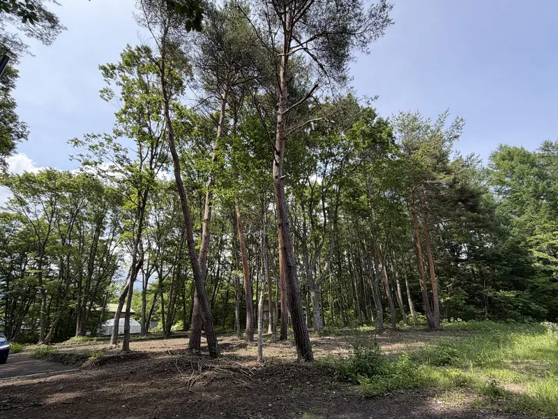 Land in Nagano